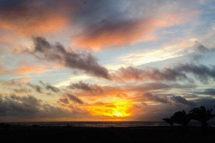 Fuerteventura: Wine Tasting and El Cotillo Afternoon Escape 3