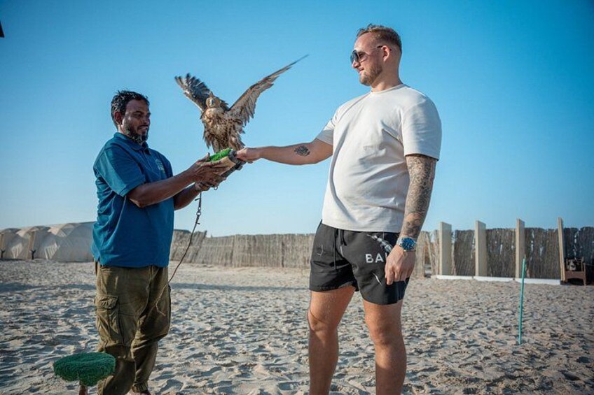 Zwei Personen am sandigen Strand, ein Vogel fliegt zwischen ihnen hindurch. 4