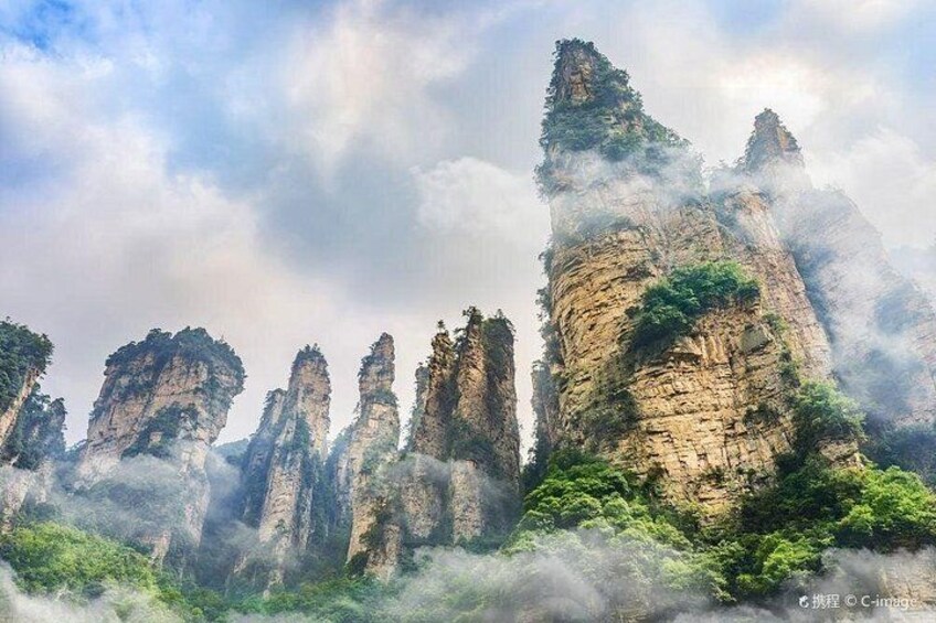 VIP Mini Group:Avatar Mountains & Tianmen Mountain & Glass Bridge 5