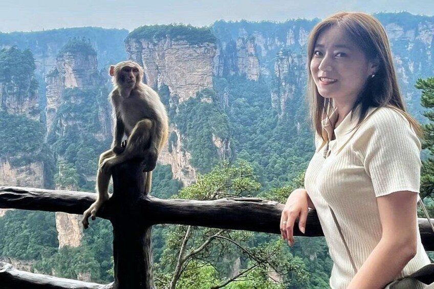 VIP Mini Group:Avatar Mountains & Tianmen Mountain & Glass Bridge 4