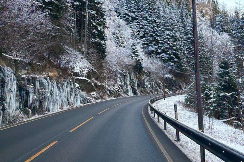 Eine verschneite Straße schlängelt sich durch einen Wald mit Bäumen und Eispaletten an den Bäumen. 2