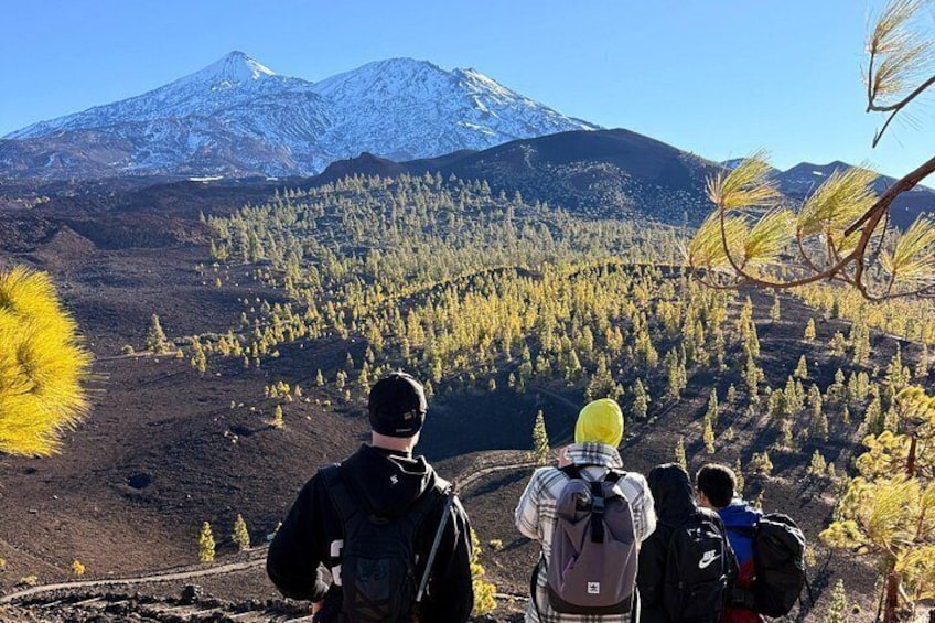 Volcanic Hike and Lava Cave in Teide National Park. Free Pickup. 2