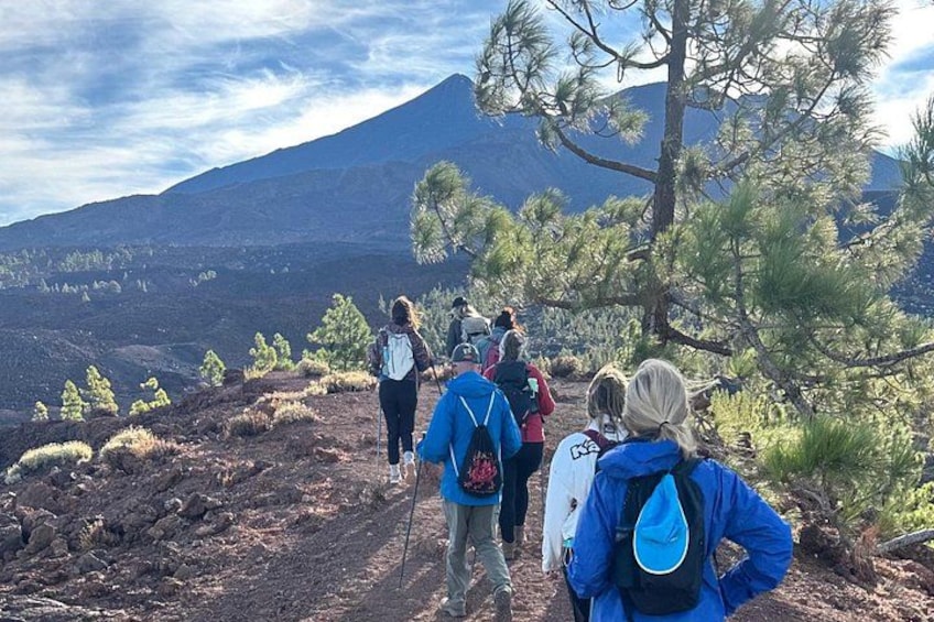 Volcanic Hike and Lava Cave in Teide National Park. Free Pickup. 2
