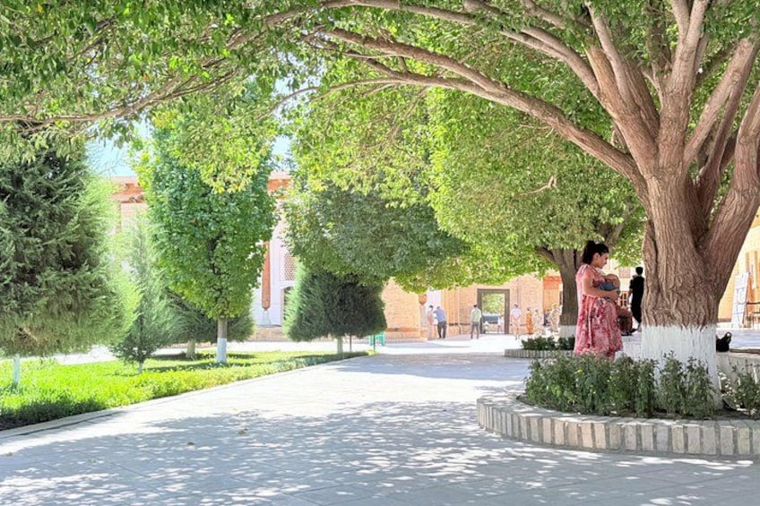 A tree-lined pathway with a woman in a pink dress and a child. 4