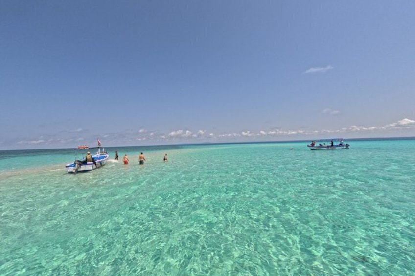Kisite Mpunguti Marine Park Full Day Excursion 4