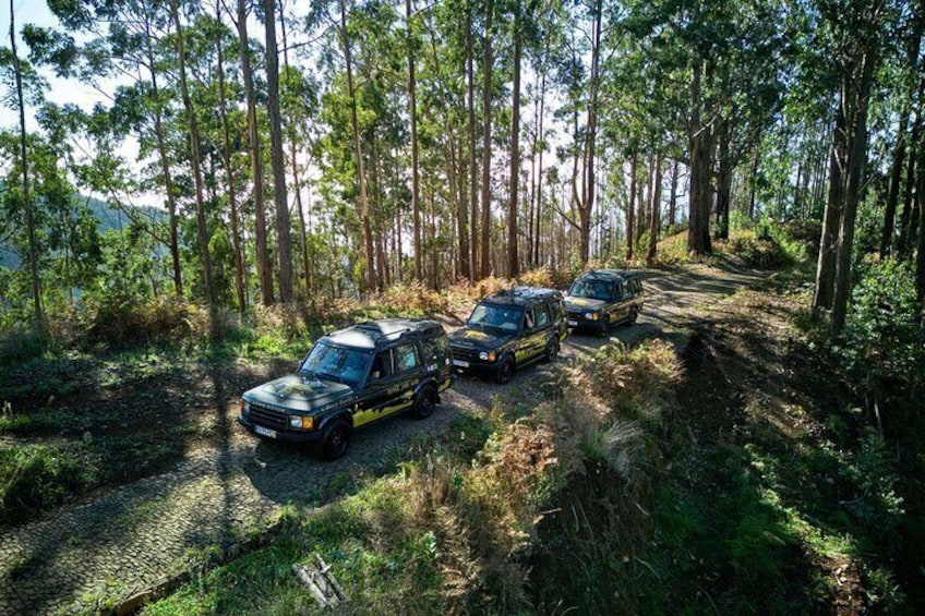Three off-road vehicles parked on a forest trail. 1