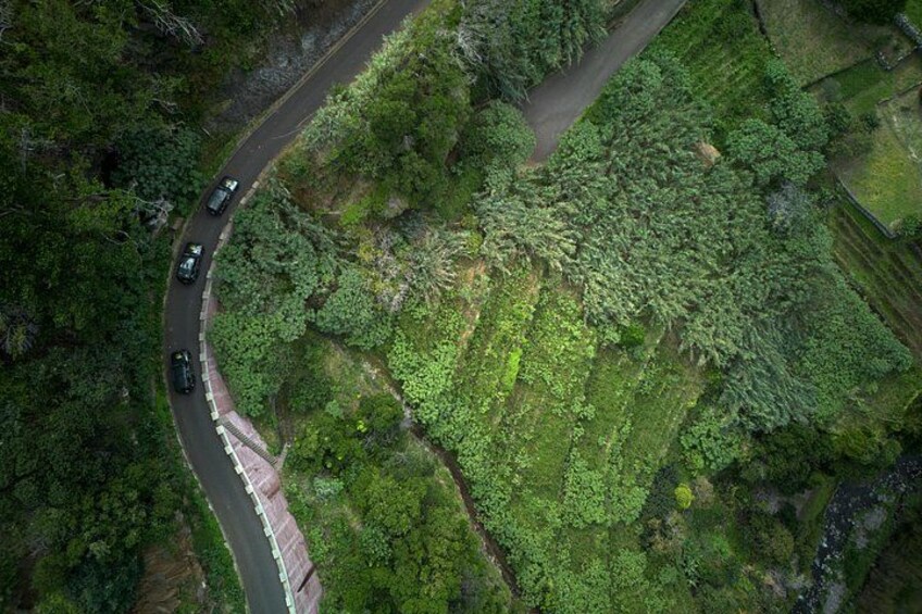An aerial view of a winding road through a lush, green landscape with dense vegetation and a large tree-covered area. 5