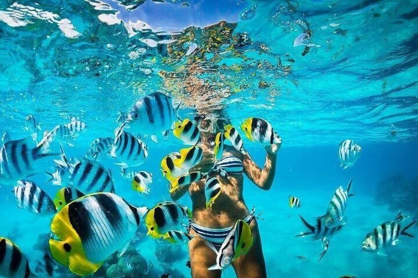 Catalina Island with Snorkeling and Lunch and Transportation Included 1