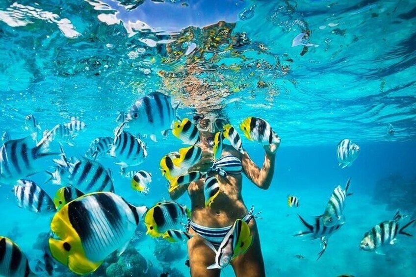 A person snorkeling surrounded by tropical fish. 1