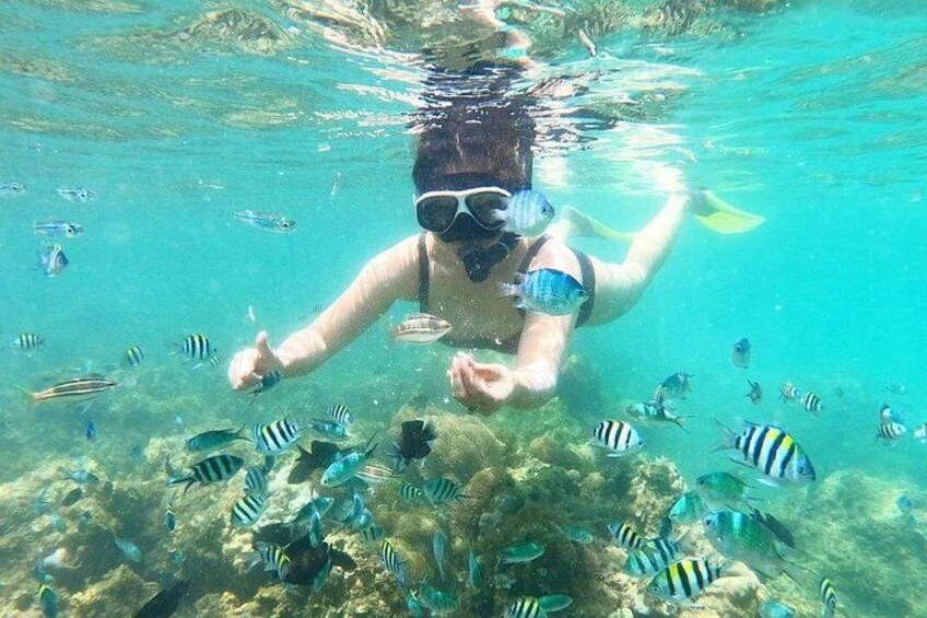 A person snorkeling underwater surrounded by various fish. 2