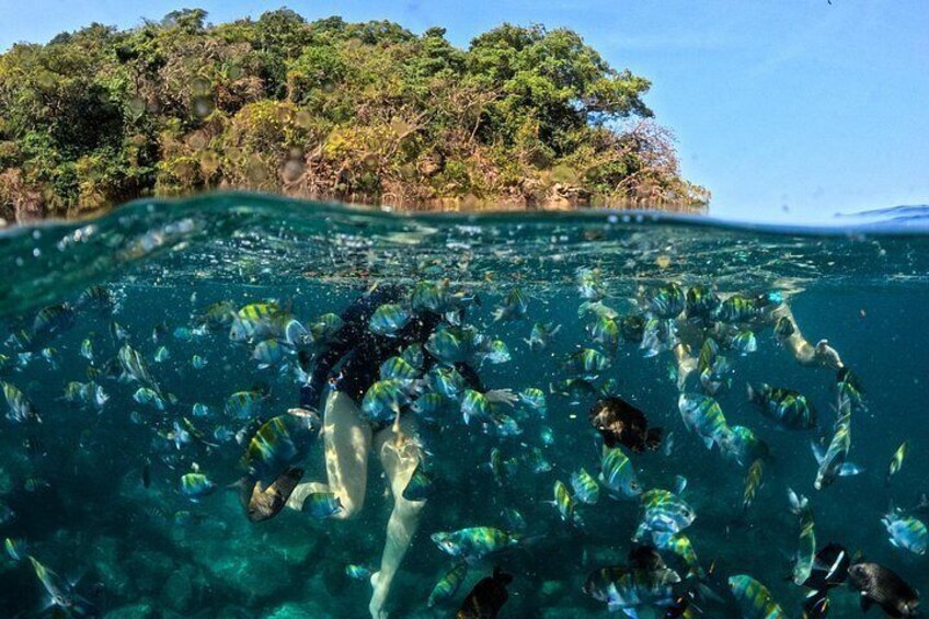 Swimming with tropical fish at Majahuitas beach 3