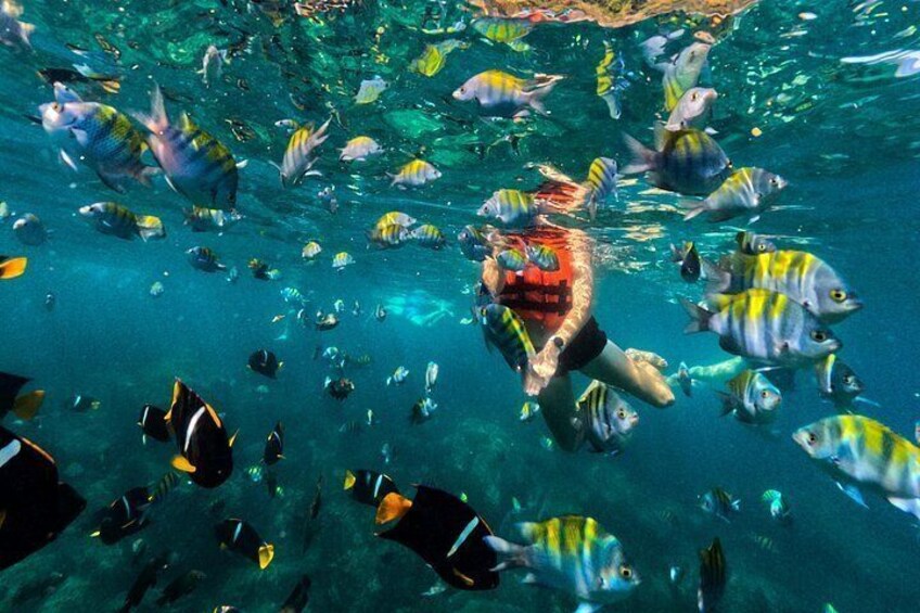 Swimming with tropical fish at Majahuitas beach 5