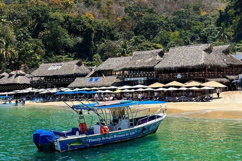 Puerto Vallarta: Tropical Fish Snorkeling and Zipline Tour 2