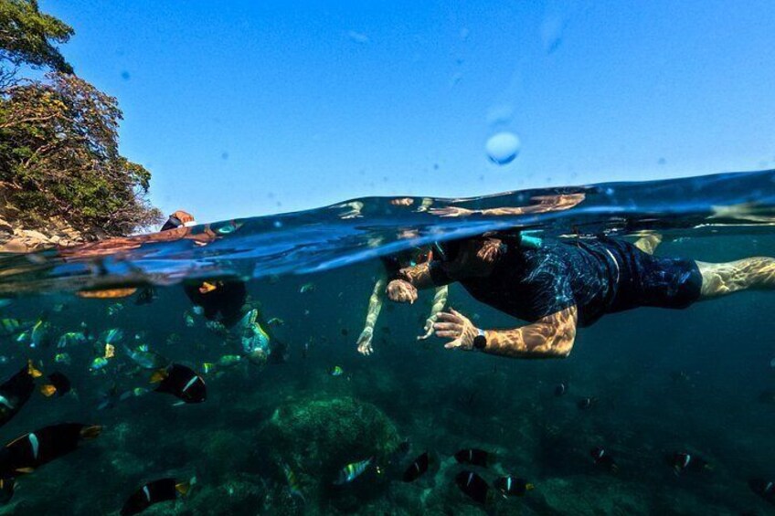 Swimming with tropical fish at Majahuitas beach 4