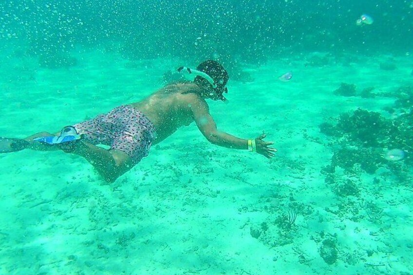 Una persona haciendo snorkel bajo el agua. 5