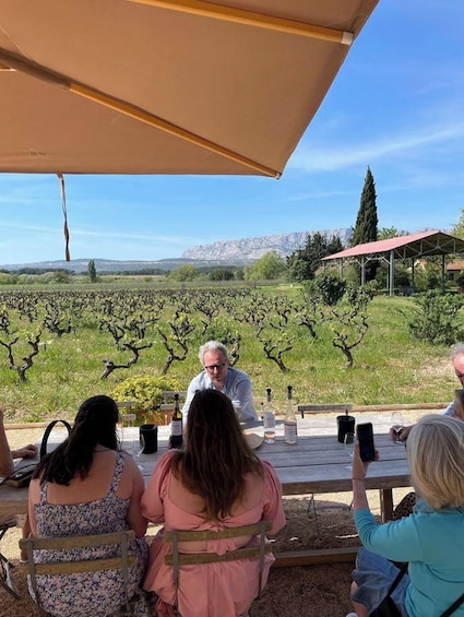 Small group wine half-day tour in Provence 2