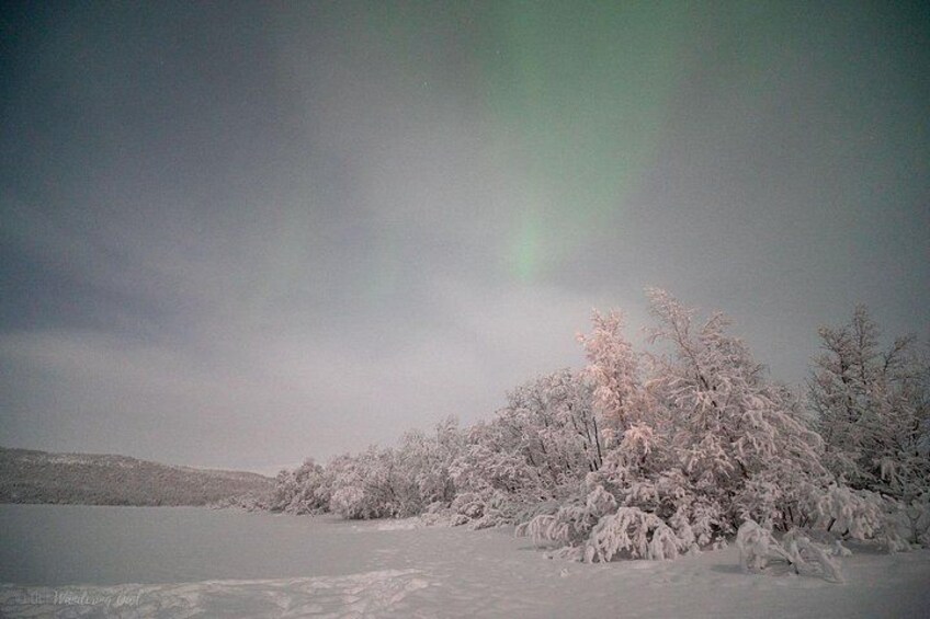 Un paysage enneigé, avec des arbres couverts de neige et des aurores boréales dans le ciel. 3
