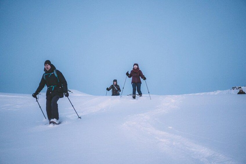 LEVI Winter Snowshoeing in the Finnish Wilderness (ALL INCLUDED) 3
