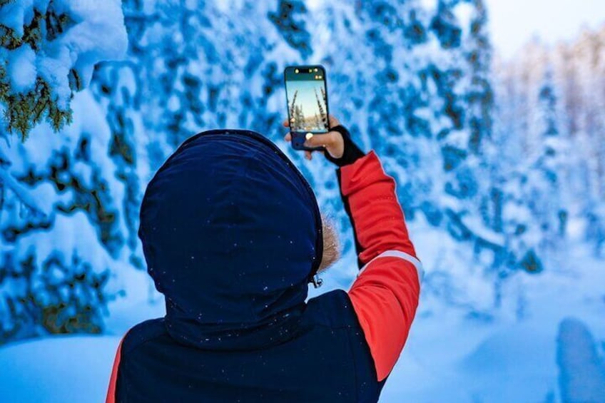Una persona fotografiando un bosque nevado. 3