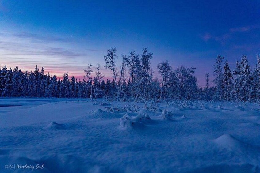 A snowy landscape with trees and a clear sky. 2