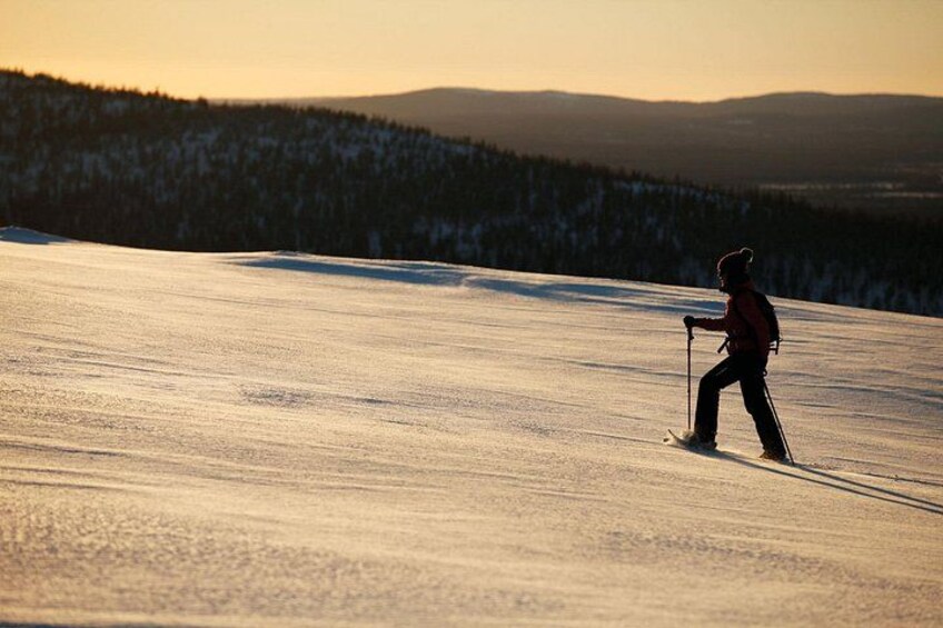 LEVI Winter Snowshoeing in the Finnish Wilderness (ALL INCLUDED) 2