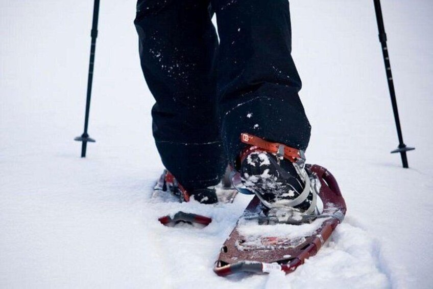 A person wearing snowshoes and black pants walking in the snow. 4