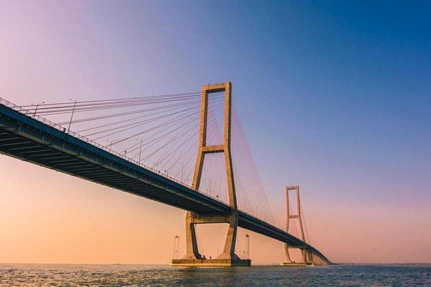 A cable-stayed bridge with tall pylons and cables extending over water. 4