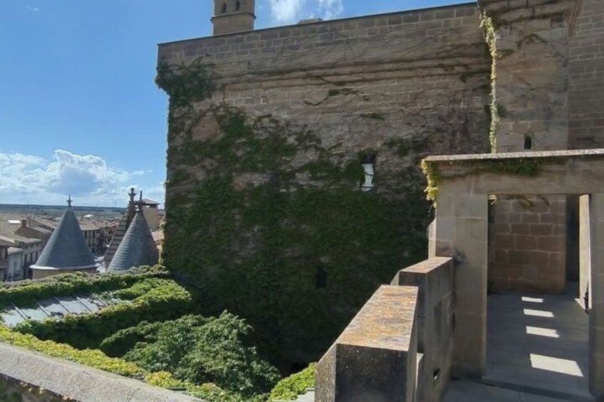 Medieval Navarra: Olite Palace, Javier Castle, Leyre & Lunch 2