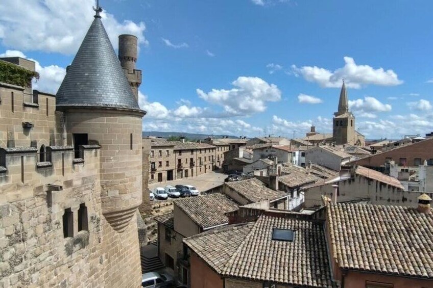 Medieval Navarra: Olite Palace, Javier Castle, Leyre & Lunch 4