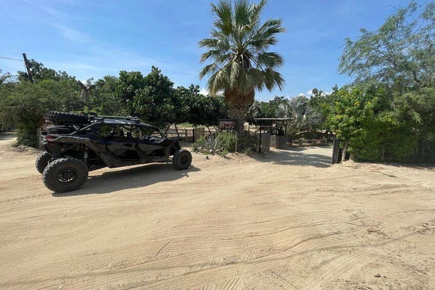 Un vehículo todoterreno negro estacionado en un camino de tierra, con palmeras y una estructura de madera al fondo. 1