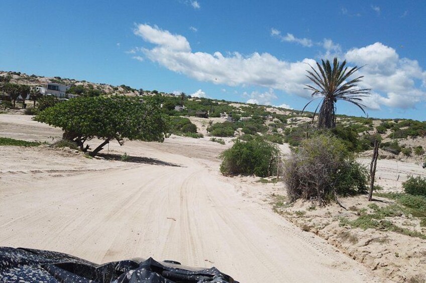 Paisaje desértico con un camino de tierra, vegetación escasa y un cielo azul despejado. 5