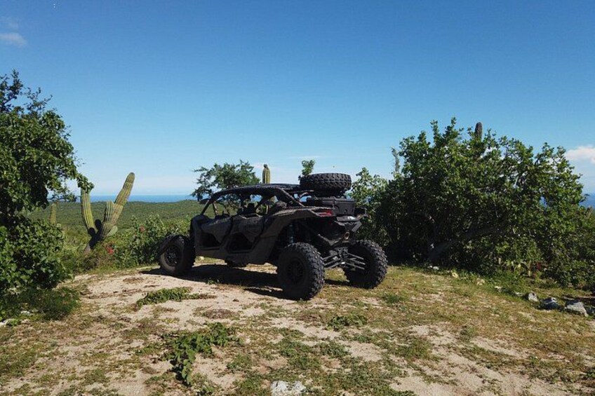 Un vehículo todoterreno estacionado en un camino de tierra con cactus y arbustos en un paisaje desértico. 4