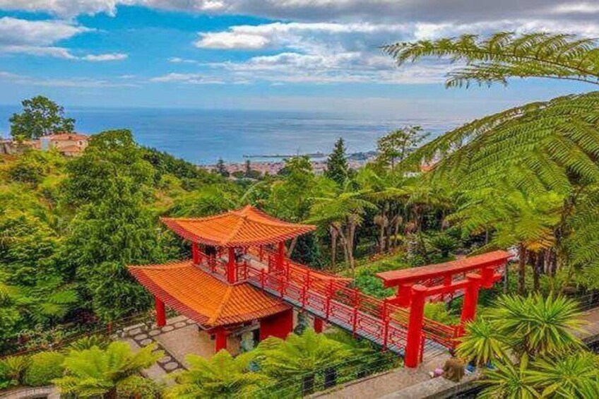 Madeira Tuk-Tuk Ride to Monte Toboggans or Tropical Gardens 3