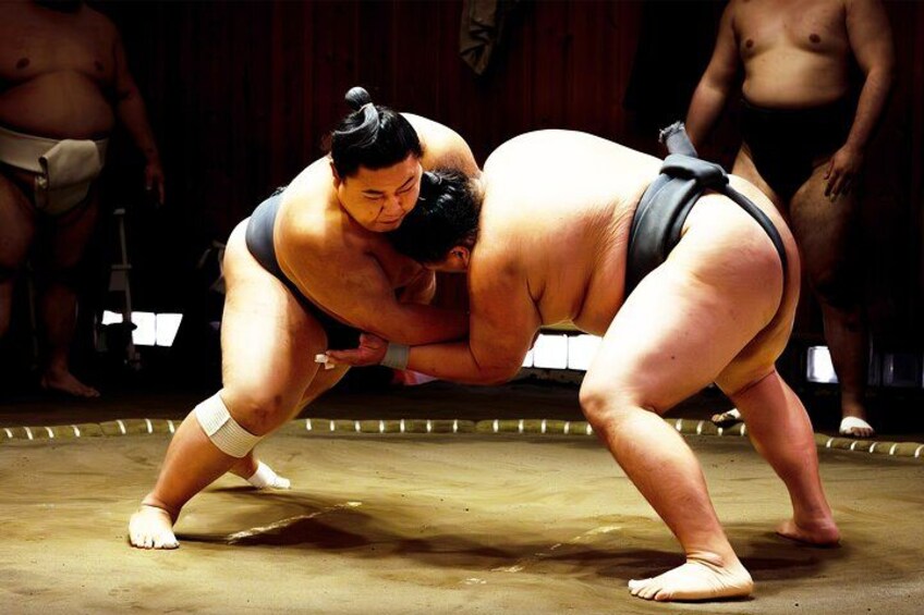 Osaka Sumo Experience with Live Show and Audience Challenge 1