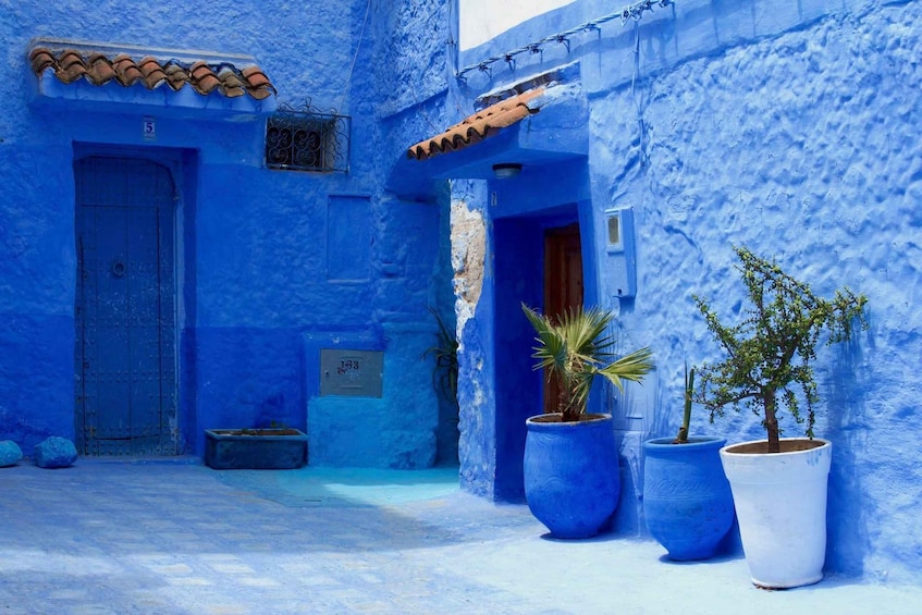Un patio azul con puerta, plantas en macetas y techo de tejas. 1