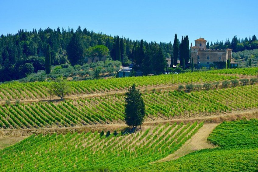 Tuscany hills 5