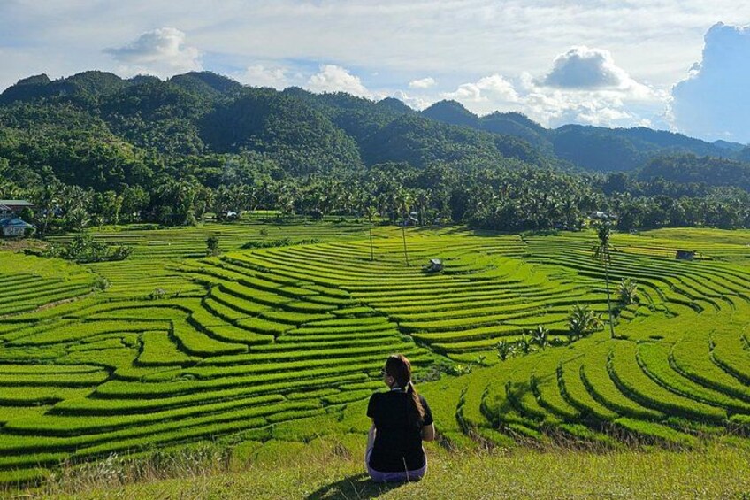 Terraced rice fields, a person, and a mountainous landscape. 2