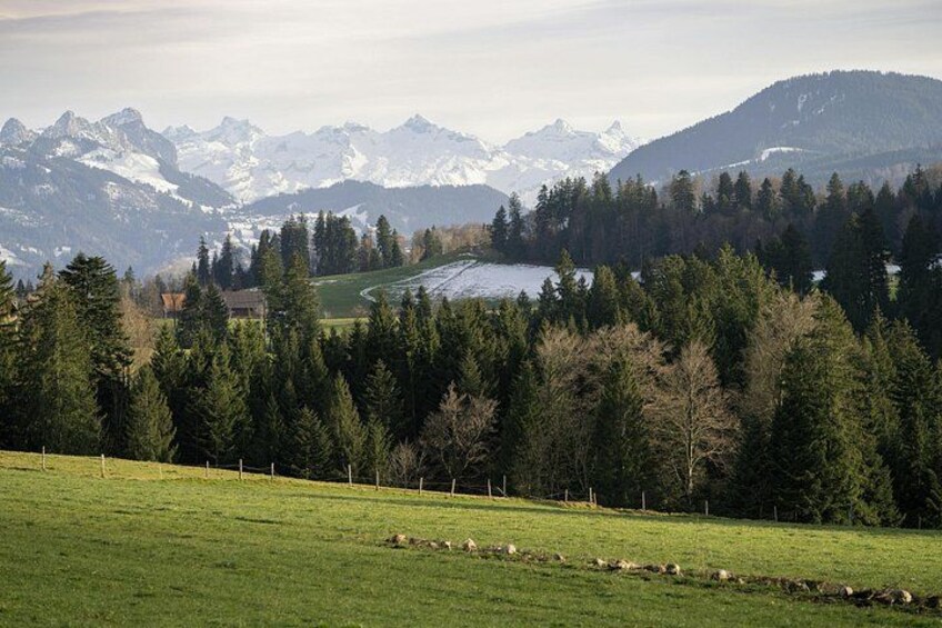 A mountainous landscape with a lake, forest, and grazing sheep. 4
