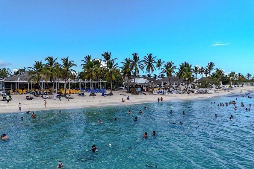 A beach with people swimming and sunbathing, palm trees, and beach umbrellas. 5