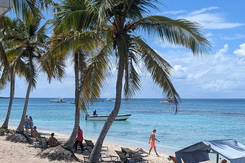 A beach with palm trees, people relaxing, and boats on the water. 2