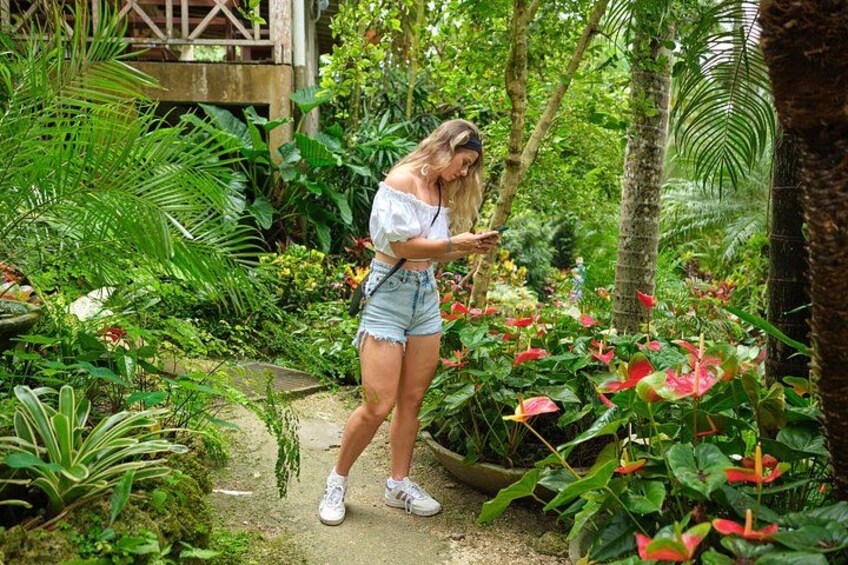 Hunte's Gardens - the Most Enchanting Place on Earth 4