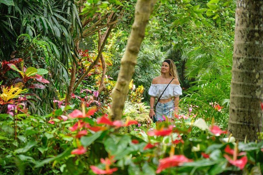 Hunte's Gardens - the Most Enchanting Place on Earth 3