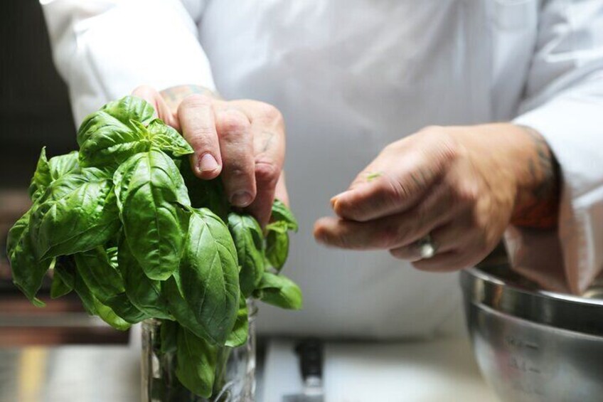 Hands holding fresh basil leaves. 5