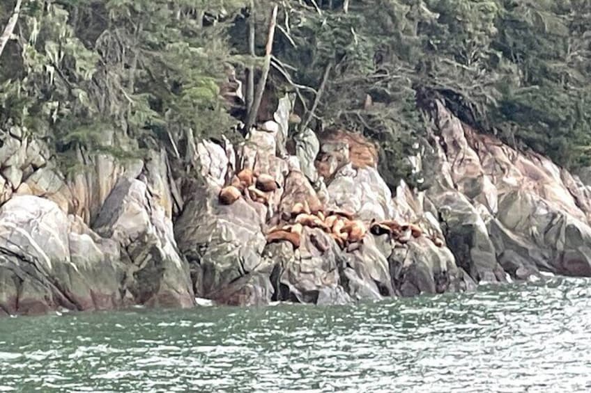 Wrangell E-Bike and Hike Adventure 2