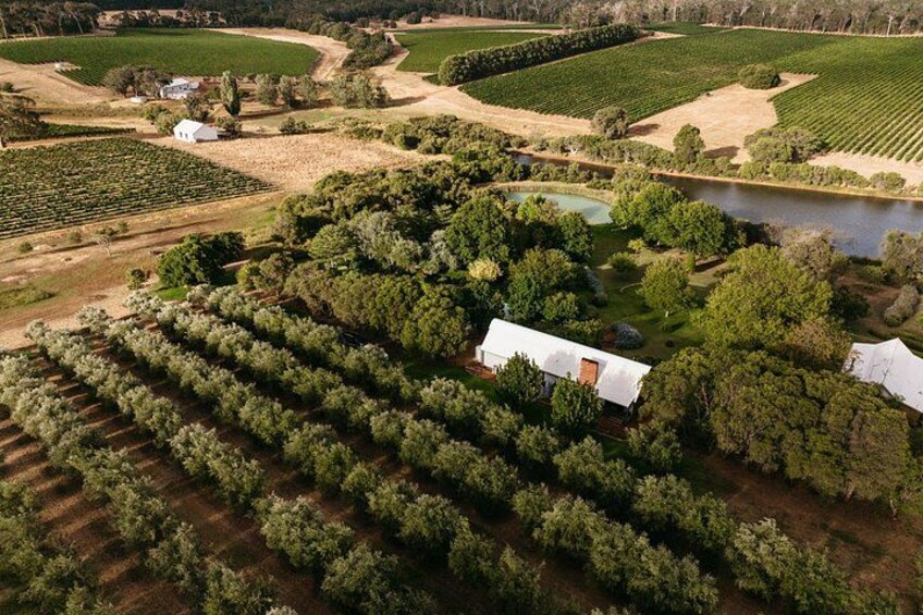 Vasse Virgin Credit: TWA 4