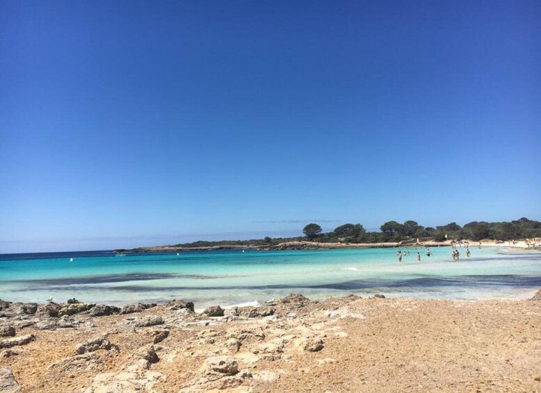 Une plage à l'eau turquoise et limpide, avec un premier plan rocheux et une ligne d'arbres à l'horizon. 5