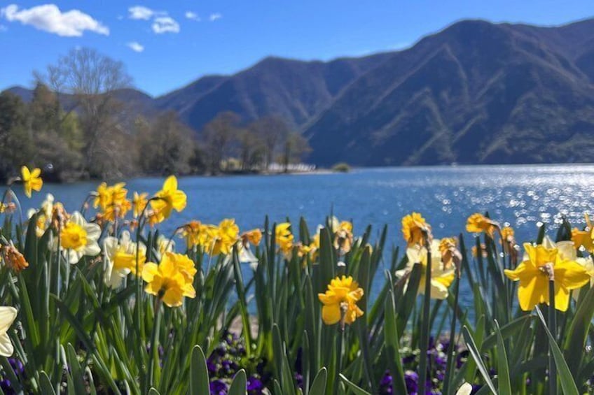 Lugano History & Culture 2 hours Walking Tour– Small Group 2