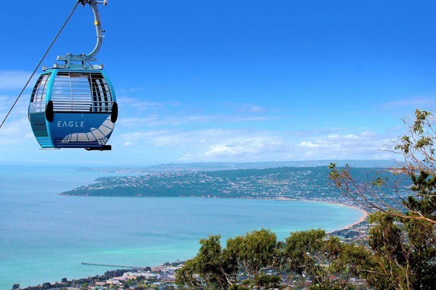 Melbourne Mornington Peninsula Private Tour include Tickets 1