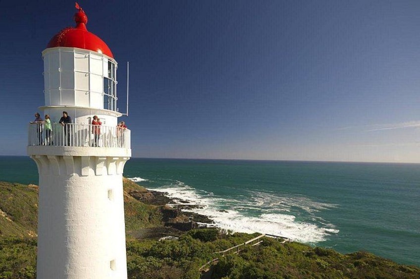 Melbourne Mornington Peninsula Private Tour include Tickets 2