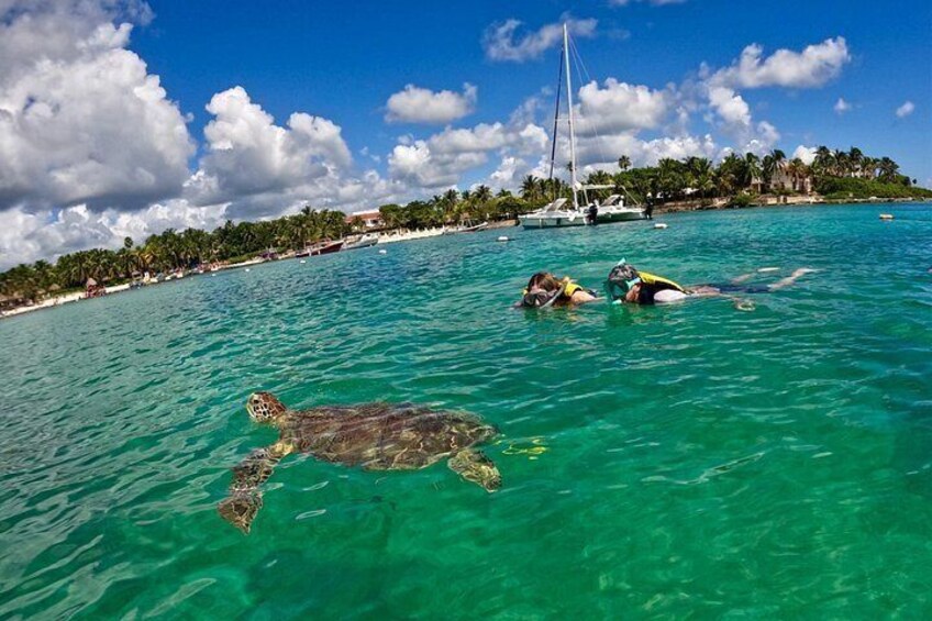 A sea turtle swimming in clear turquoise waters, a sailboat, and a beach with palm trees and a resort in the background. 2
